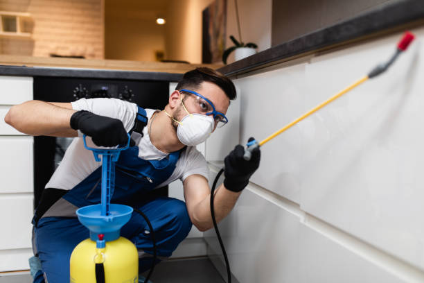 Best Emergency Pest Control  in Hallsville, MO
