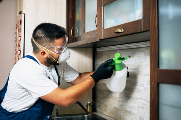 Best Best Pest Control Companies  in Hallsville, MO