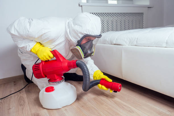 Best Affordable Pest Control Services  in Hallsville, MO
