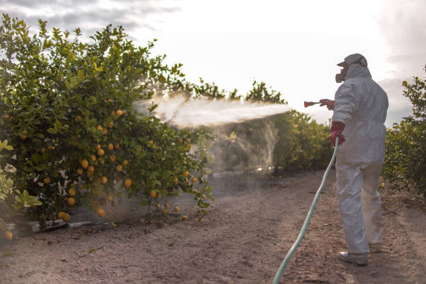 Best Best Pest Control Companies  in Hallsville, MO