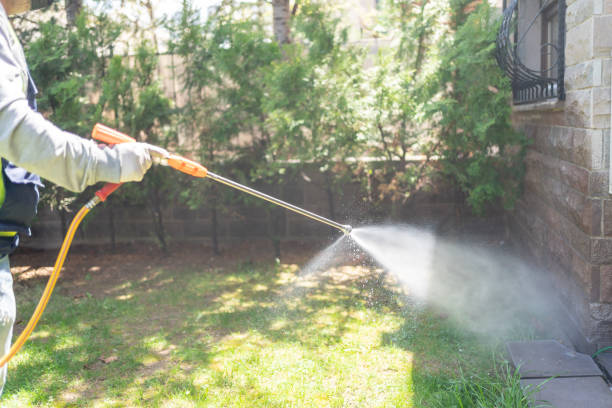 Best Best Pest Control Companies  in Hallsville, MO