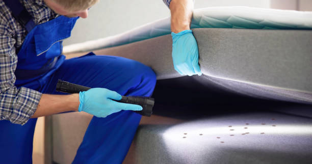 Best Exterminator Services  in Hallsville, MO